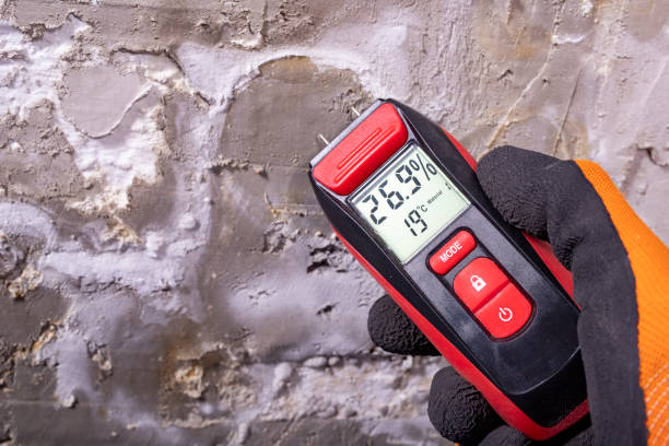 Best Crawl Space Mold Removal  in Ashland, AL