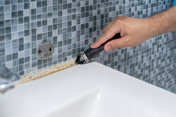 Best Mold Removal Specialists  in Ashland, AL